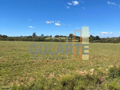 Fazenda, 140 hectares - Foto 4