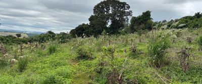 Chácara, 1 quarto, 12 hectares - Foto 2