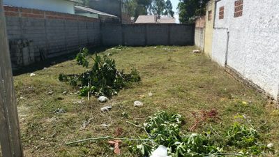 Terreno, 250 m² - Foto 2