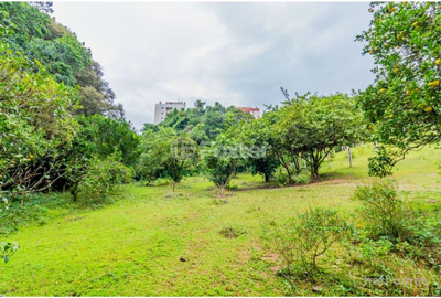 Terreno, 6798 m² - Foto 5