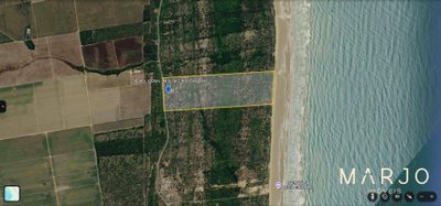 Terreno, 30 hectares - Foto 4