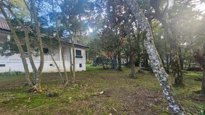 Casa, 6 quartos, 172 m² - Foto 4