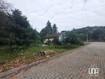 Chácara, 4 quartos, 2365 m² - Foto 5