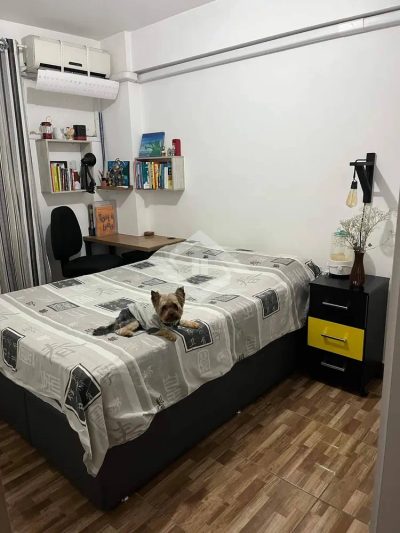 Apartamento, 4 quartos, 85 m² - Foto 4