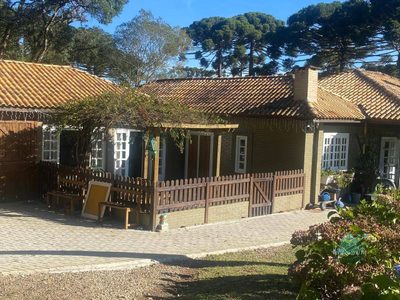 Chácara, 3 quartos, 3 hectares - Foto 3