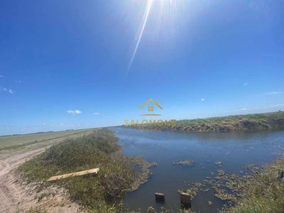 Fazenda, 100 hectares - Foto 4