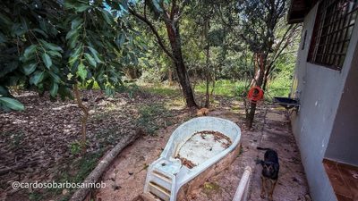 Terreno, 10000 m² - Foto 3