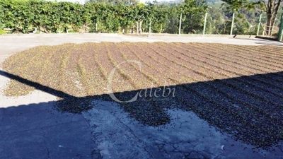 Terreno, 5 m² - Foto 2