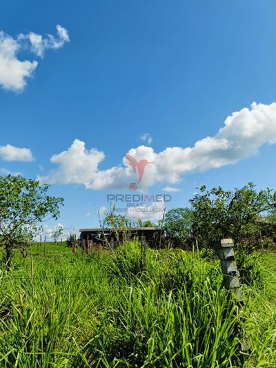 Fazenda, 3 hectares - Foto 4