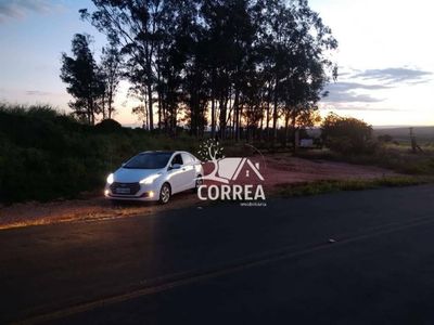 Fazenda, 167 hectares - Foto 3