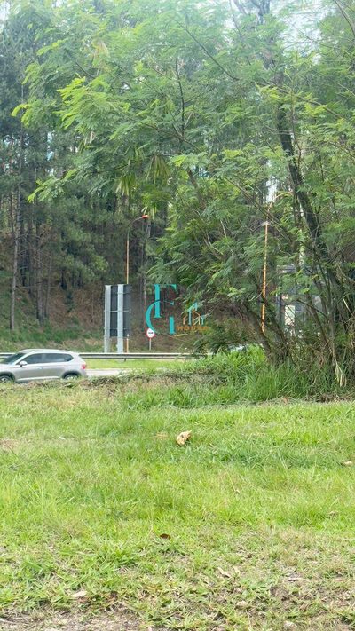 Terreno, 4 hectares - Foto 4
