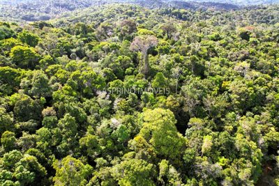 Terreno, 3 hectares - Foto 4