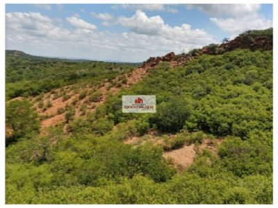 Sítio, 2000 m² - Foto 4