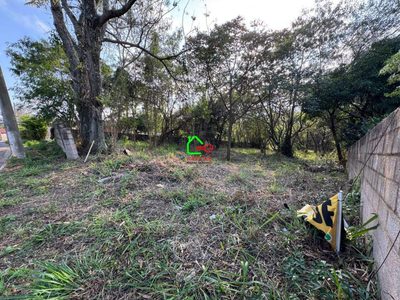 Terreno, 4580 m² - Foto 3
