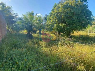 Terreno, 1050 m² - Foto 3