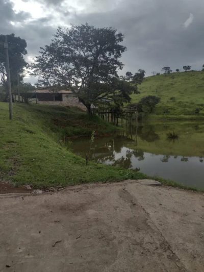 Fazenda - Foto 3