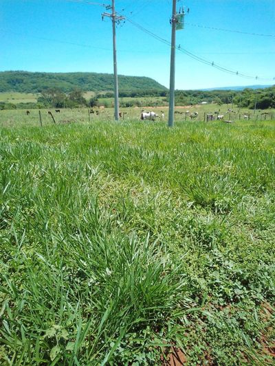 Terreno, 500 m² - Foto 5
