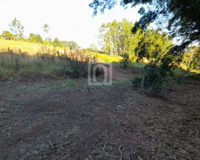 Terreno, 10300 m² - Foto 3