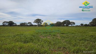 Chácara, 1 quarto - Foto 3