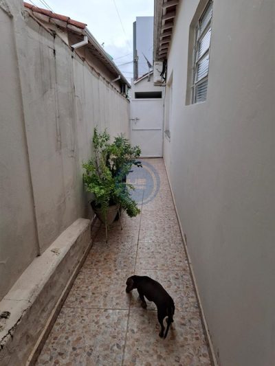 Casa, 2 quartos, 150 m² - Foto 4