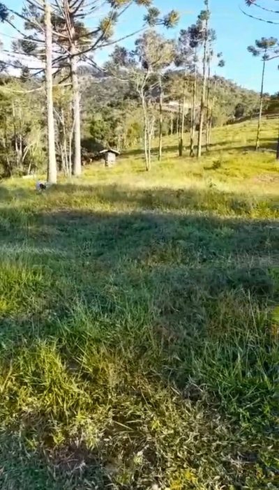 Terreno, 16 m² - Foto 2