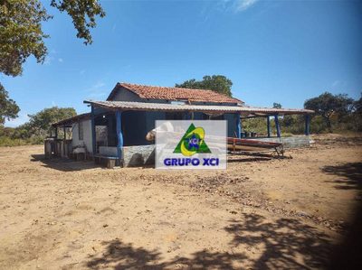 Fazenda, 13500 hectares - Foto 3