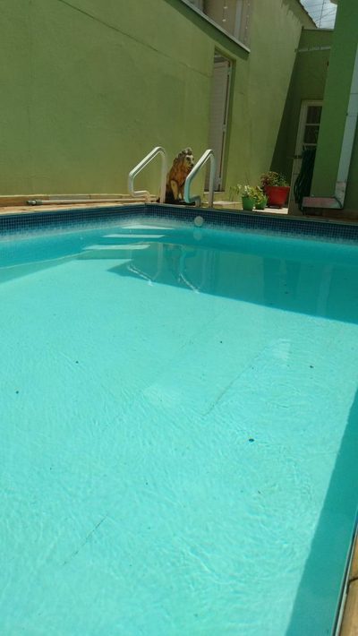Casa, 3 quartos, 180 m² - Foto 4