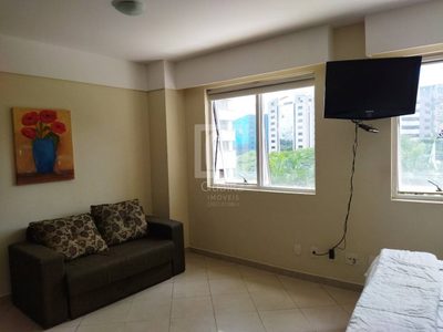 Apartamento, 1 quarto, 33 m² - Foto 3