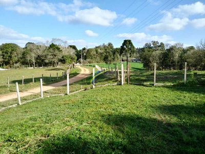 Chácara, 3 quartos - Foto 4