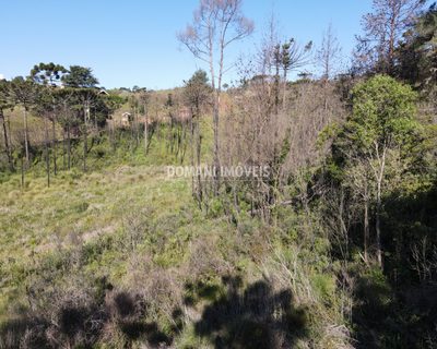 Terreno, 1630 m² - Foto 4