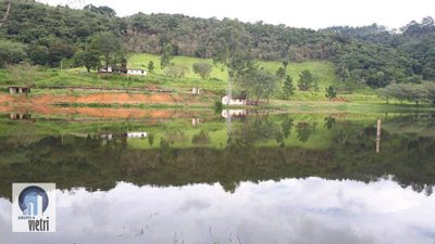 Terreno, 44 hectares - Foto 4