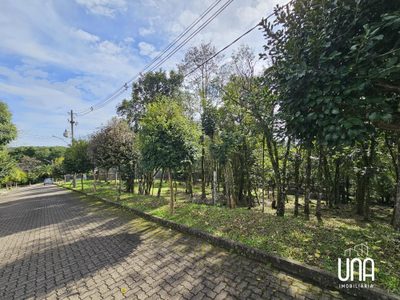 Terreno, 2283 m² - Foto 4