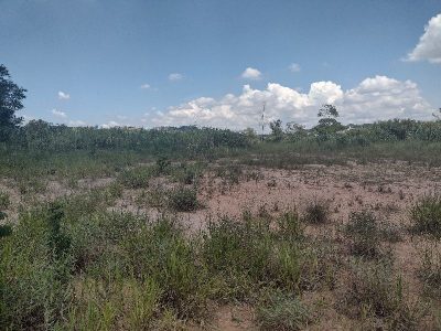 Terreno, 4900 m² - Foto 4