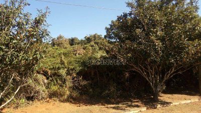Loteamento e Condomínio, 800 m² - Foto 3