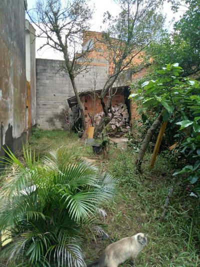Terreno, 125 m² - Foto 4
