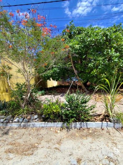 Terreno, 396 m² - Foto 1