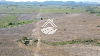 Fazenda, 4830 m² - Foto 4
