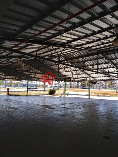 Depósito-Galpão, 250 m² - Foto 3