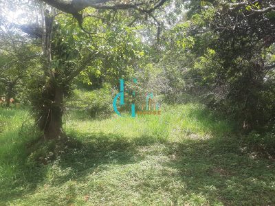 Terreno, 3460 m² - Foto 2