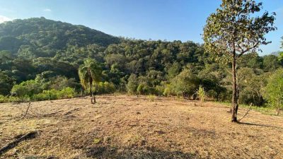 Terreno, 1023 m² - Foto 3