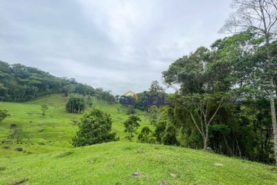 Sítio, 3 quartos, 23 hectares - Foto 5