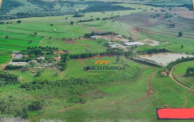Fazenda, 155 hectares - Foto 4