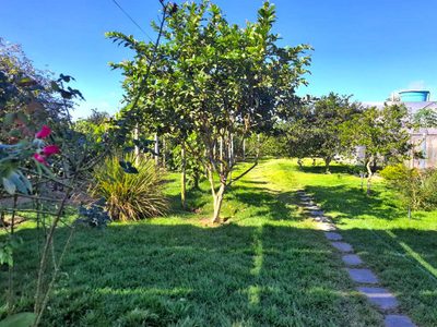 Chácara, 5 quartos, 1 hectares - Foto 3