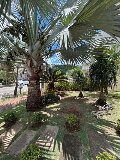 Casa, 3 quartos, 480 m² - Foto 4