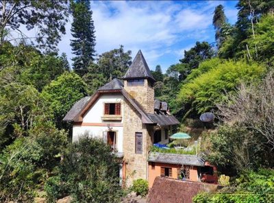 Sítio, 7 quartos, 11 hectares - Foto 1