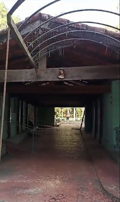 Terreno, 2 hectares - Foto 2