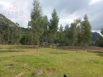 Terreno, 6613 m² - Foto 5