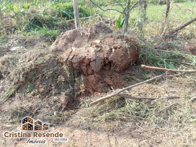 Terreno, 385 m² - Foto 3