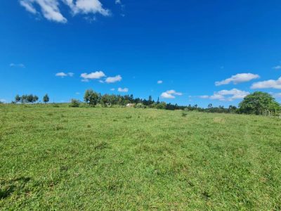 Fazenda - Foto 4