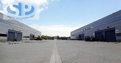Depósito-Galpão, 122005 m² - Foto 4